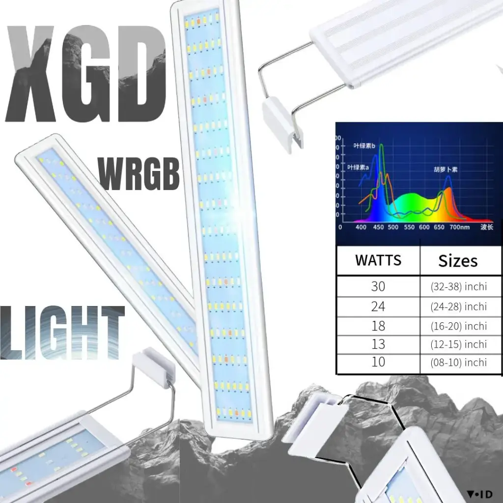 Xgd wrgb