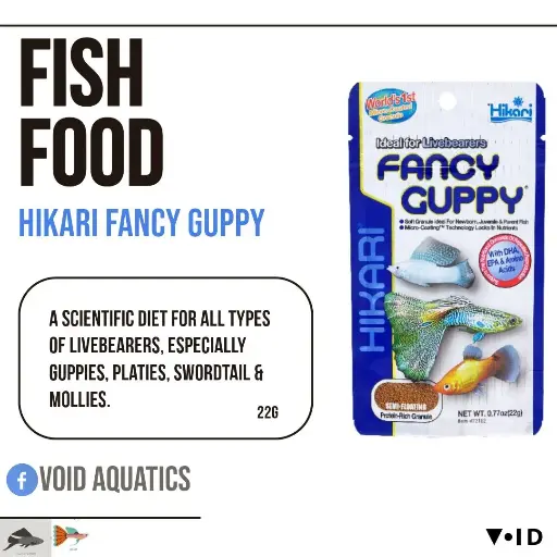 Hikari fancy guppy 22g