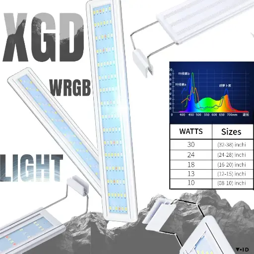 Xgd wrgb