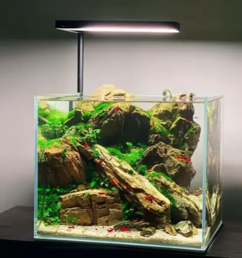 FROK P1 RGB LED L Lamp