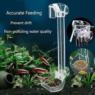 Fish feeding tube