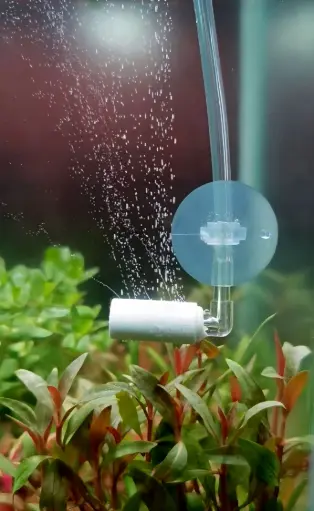 Mini co2 diffuser