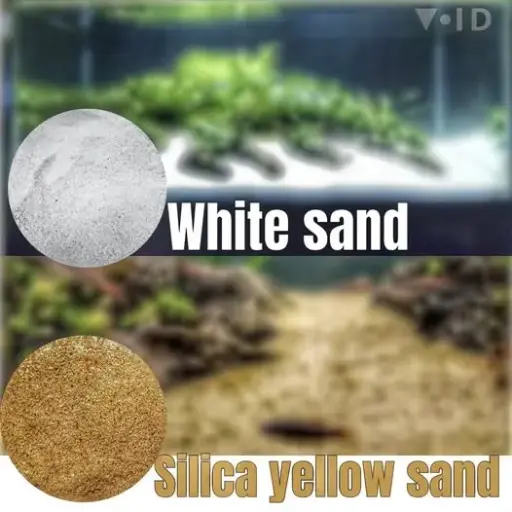 WHITE AND YELLOW SAND
